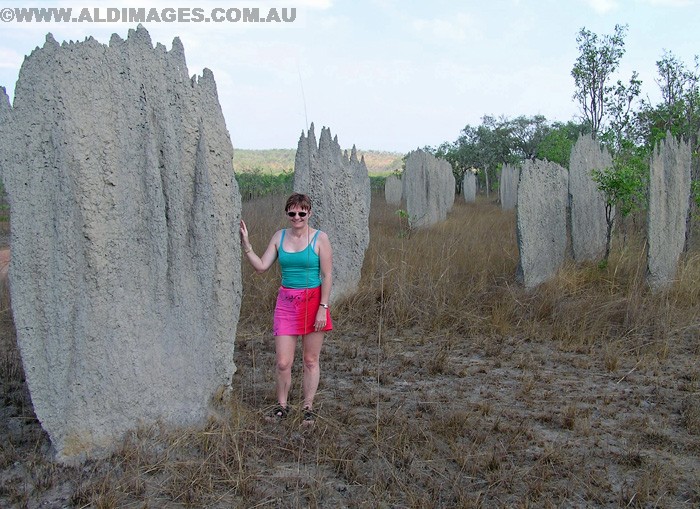 678x486 pixels (206K)